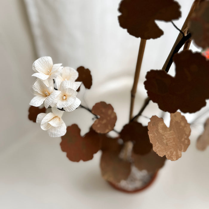 Plants For Shade x FAEGER - Cream & brown Geranium