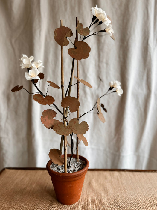 Plants For Shade x FAEGER - Cream & brown Geranium