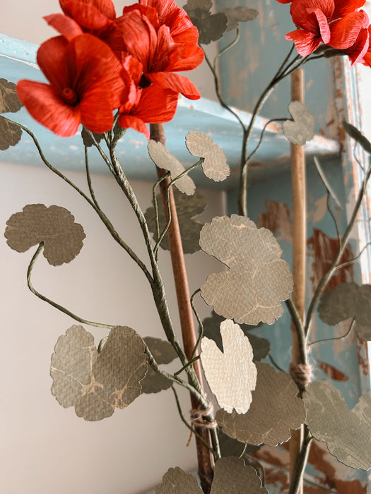 Plants for Shade x FAEGER - Ruby Red Geranium