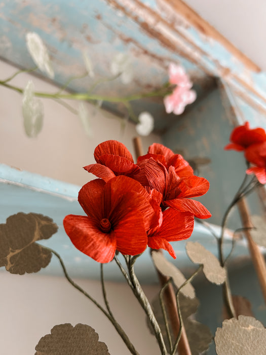 Plants for Shade x FAEGER - Ruby Red Geranium