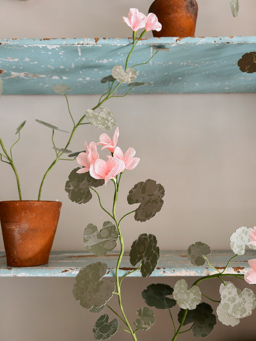 Plants for Shade x FAEGER - Dolly Pink & Green Geranium