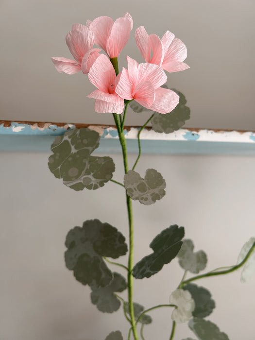 Plants for Shade x FAEGER - Dolly Pink & Green Geranium