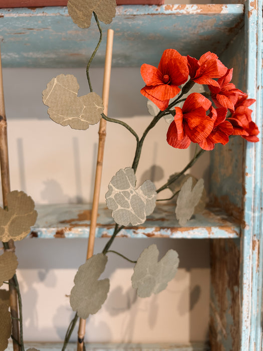 Plants for Shade x FAEGER - Ruby Red Geranium