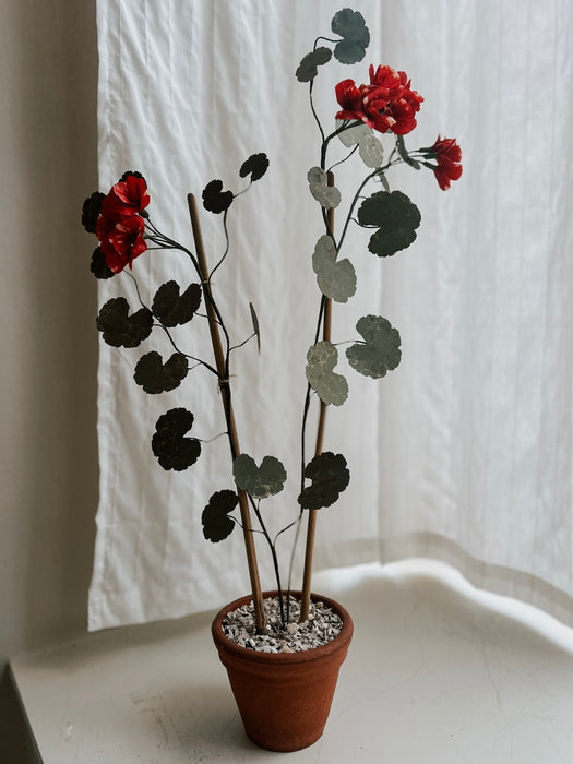 Plants for shade x FAEGER - Red geranium