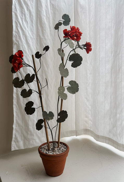 Plants for shade x FAEGER - Red geranium